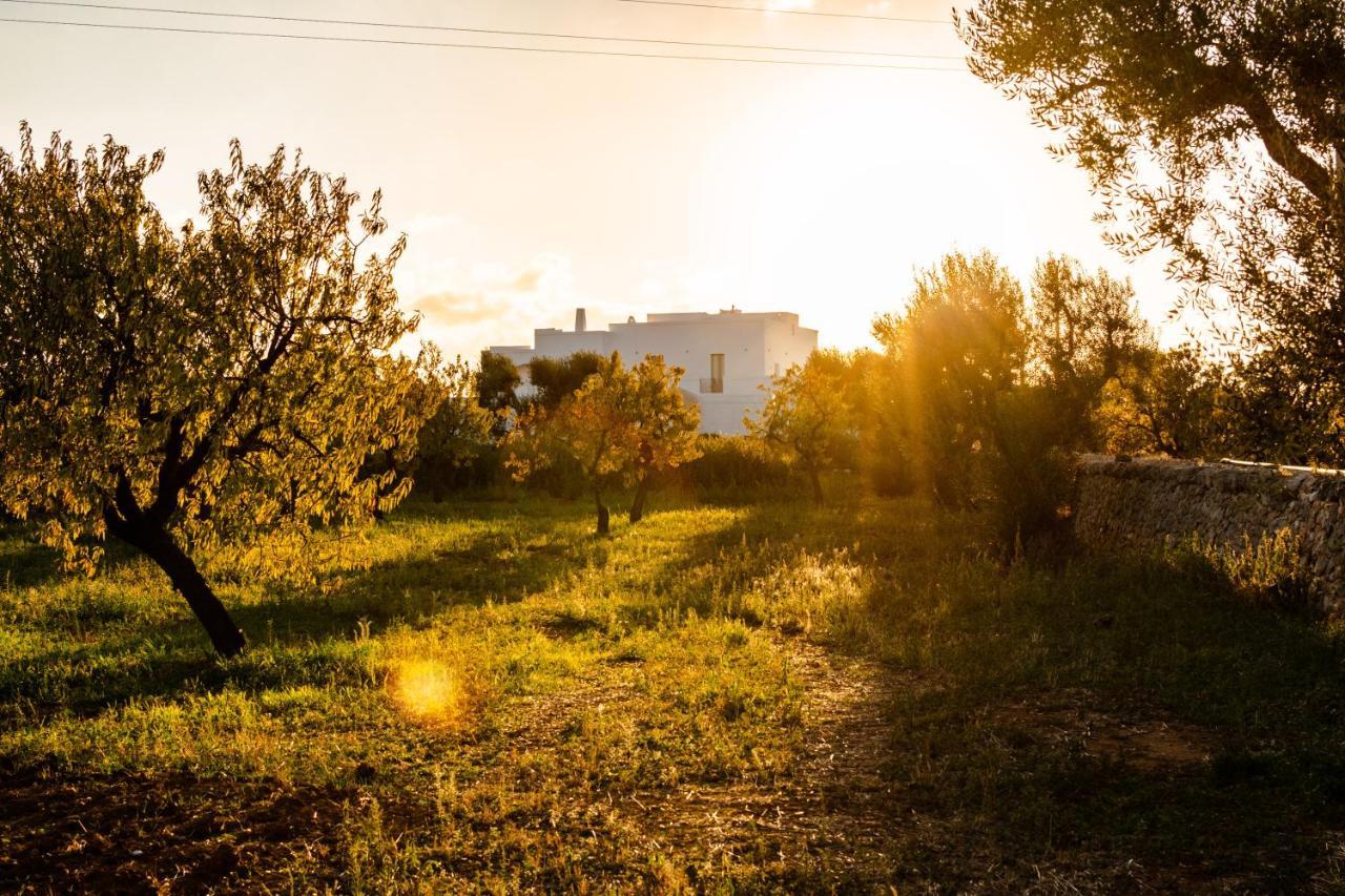 Masseria D'Erchia Монополи Екстериор снимка